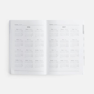 Ежедневник Baza, датированный, серый