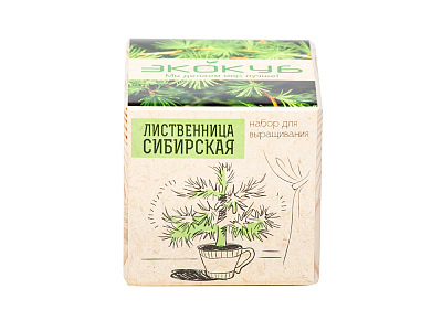 Набор для выращивания Лиственница Сибирская