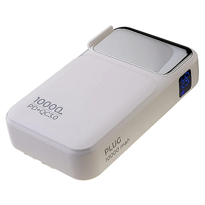 ПЗУ с функцией СЗУ Perfeo PLUG 10000, черный