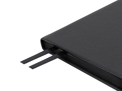 Ежедневник недатированный А5 Megapolis Nappa