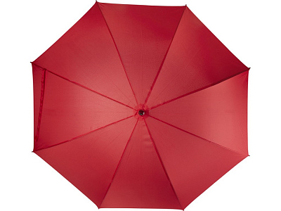 Зонт-трость Ibi