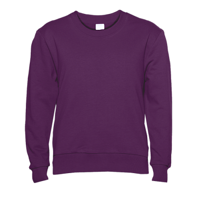 Свитшот детский STAN футер без начёса, 260, 63J (Сливовый)