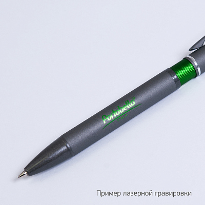 Шариковая ручка АйПи Хамелеон (IP Chameleon), зеленая