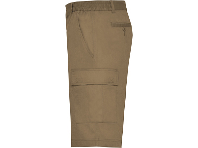 Шорты Armour, мужские