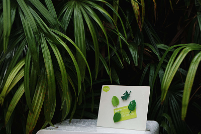 Набор магнитов Тропики