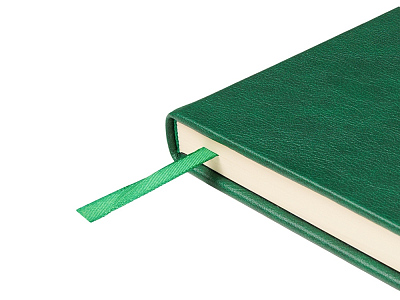 Ежедневник недатированный А5 Premier