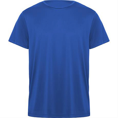 Спортивная футболка DAYTONA унисекс, КОРОЛЕВСКИЙ СИНИЙ 2XL (Королевский синий)