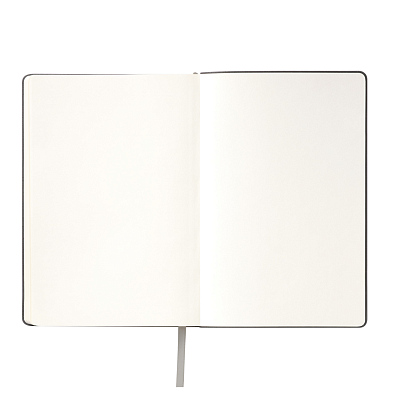 Ежедневник Спарк (Spark) недатированный, серый (без упаковки, без стикера)