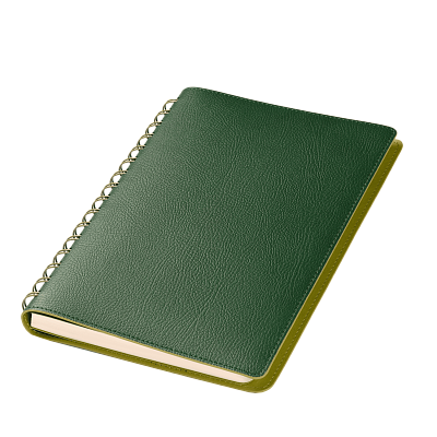 Ежедневник Vista недатированный, зеленый/салатовый