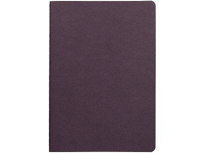 Бизнес тетрадь А5 Pragmatic