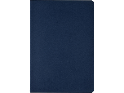 Бизнес-тетрадь А4 Pragmatic