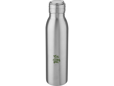 Бутылка для воды с металлической петлей Harper, 700 мл