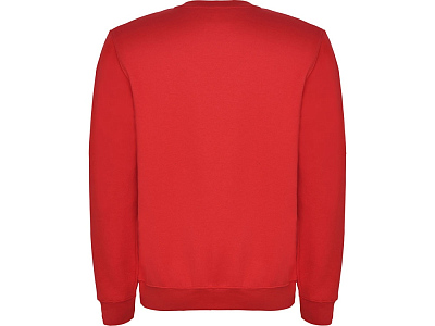 Свитшот с начесом Clasica унисекс