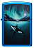 Зажигалка ZIPPO Whale с покрытием High Polish Blue, латунь/сталь, синяя, глянцевая, 38x13x57 мм - Фото 2