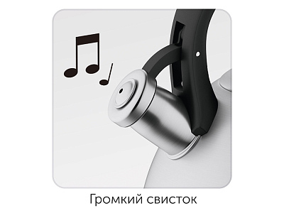 Чайник со свистком IRMA, 3 л