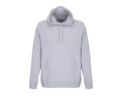 Свитшот CONSTELLATION (Серый)