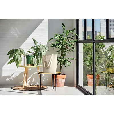 Холщовая сумка шоппер 270 г/м²