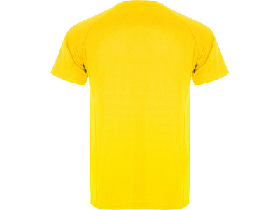 Спортивная футболка Montecarlo мужская