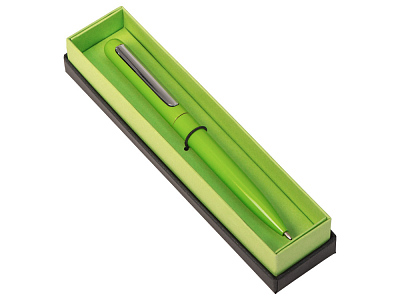 Ручка в футляре Blooming Skate