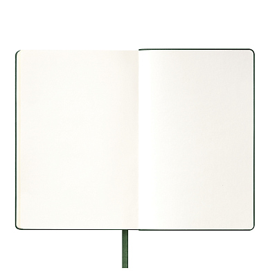 Ежедневник Спарк (Spark) недатированный, зеленый (без упаковки, без стикера)