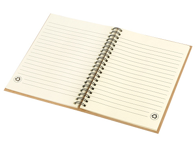 Блокнот А6+ Mendel