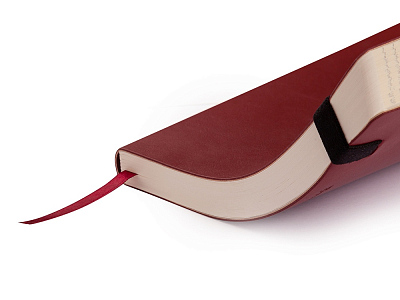 Ежедневник недатированный А5 Vincent