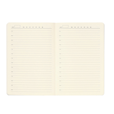 Ежедневник Voyage недатированный, темно-зеленый