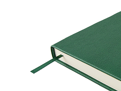 Ежедневник недатированный А5 Status