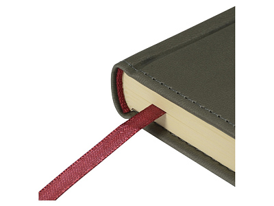 Ежедневник недатированный А5 Velvet Index с индексами