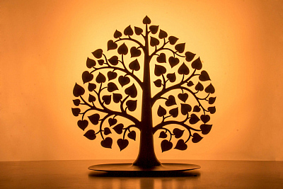 Декоративный органайзер для украшений Bodhi, черный 