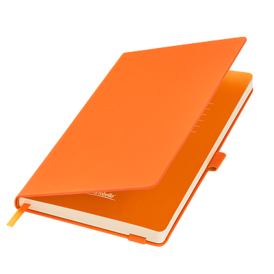 Ежедневник Альфа (Alpha) недатированный, оранжевый/оранжевый (Оранжевый, бежевый)