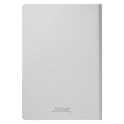 Ежедневник Спарк (Spark) недатированный, серебряный (без упаковки, без стикера)