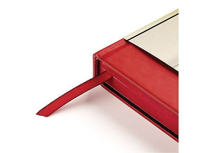 Ежедневник А5 недатированный Citizen