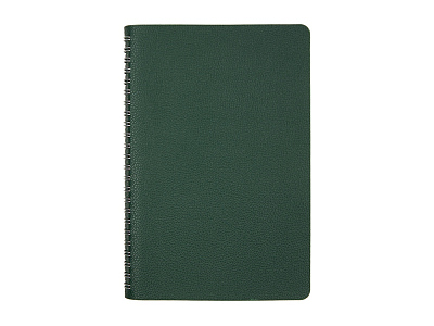 Ежедневник недатированный А5 Alba