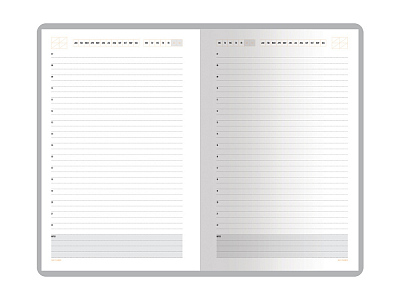 Ежедневник недатированный А5 Mercury