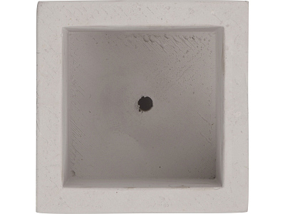 Подарочный набор Вырасти Бонсай дома. Айва Японская