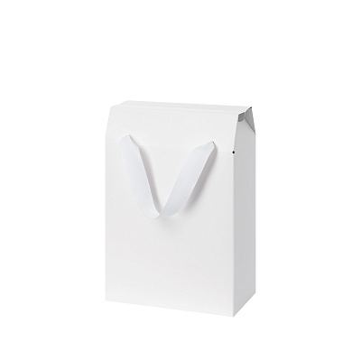 Подарочная коробка-пакет универсальная малая, белая (Белый)