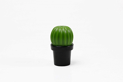 МЕЛЬНИЦА ДЛЯ СПЕЦИЙ Tasty Cactus (Зеленый/черный)
