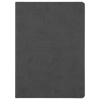 Ежедневник Basis, датированный, темно-серый