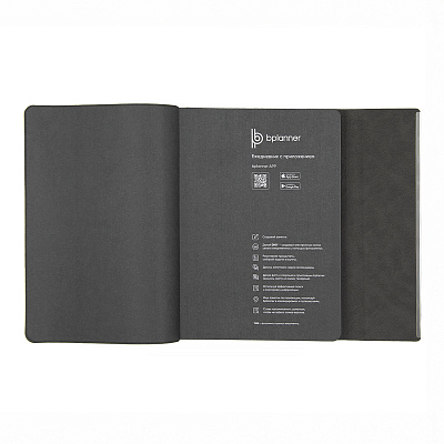 Ежедневник Bplanner.03 pro (серый)