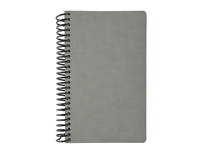 Ежедневник недатированный А5 Agenda