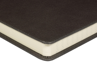 Ежедневник А5 датированный Megapolis Loft на 2026