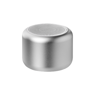 Беспроводная колонка Пассион (Passion) 80dB 600 mAh (Bluetooth 5.4), серебряная (Серебряный)