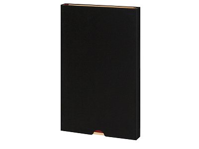 Ежедневник недатированный А5 Chelsea