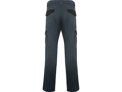 Брюки Trooper, мужские