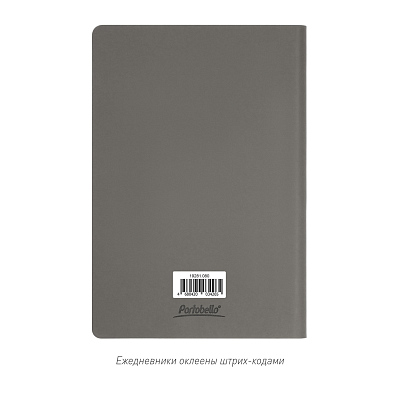 Ежедневник Стар (Star) недатированный, серый (с упаковкой, со стикерами)