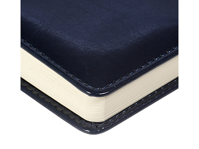 Ежедневник недатированный А5 Prestige