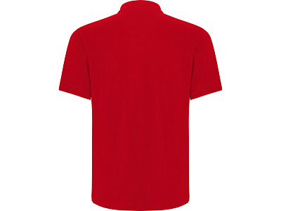 Рубашка поло Centauro Premium мужская