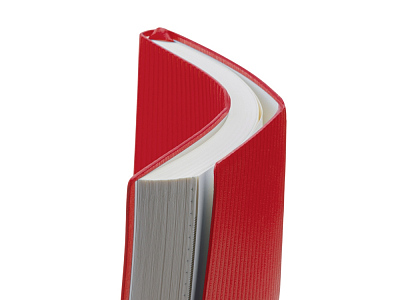 Подарочный набор блокнот А5 и металлическая шариковая ручка Nabokov