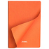 Ежедневник Латте (Latte NEW) недатированный, оранжевый/оранжевый - Фото 8